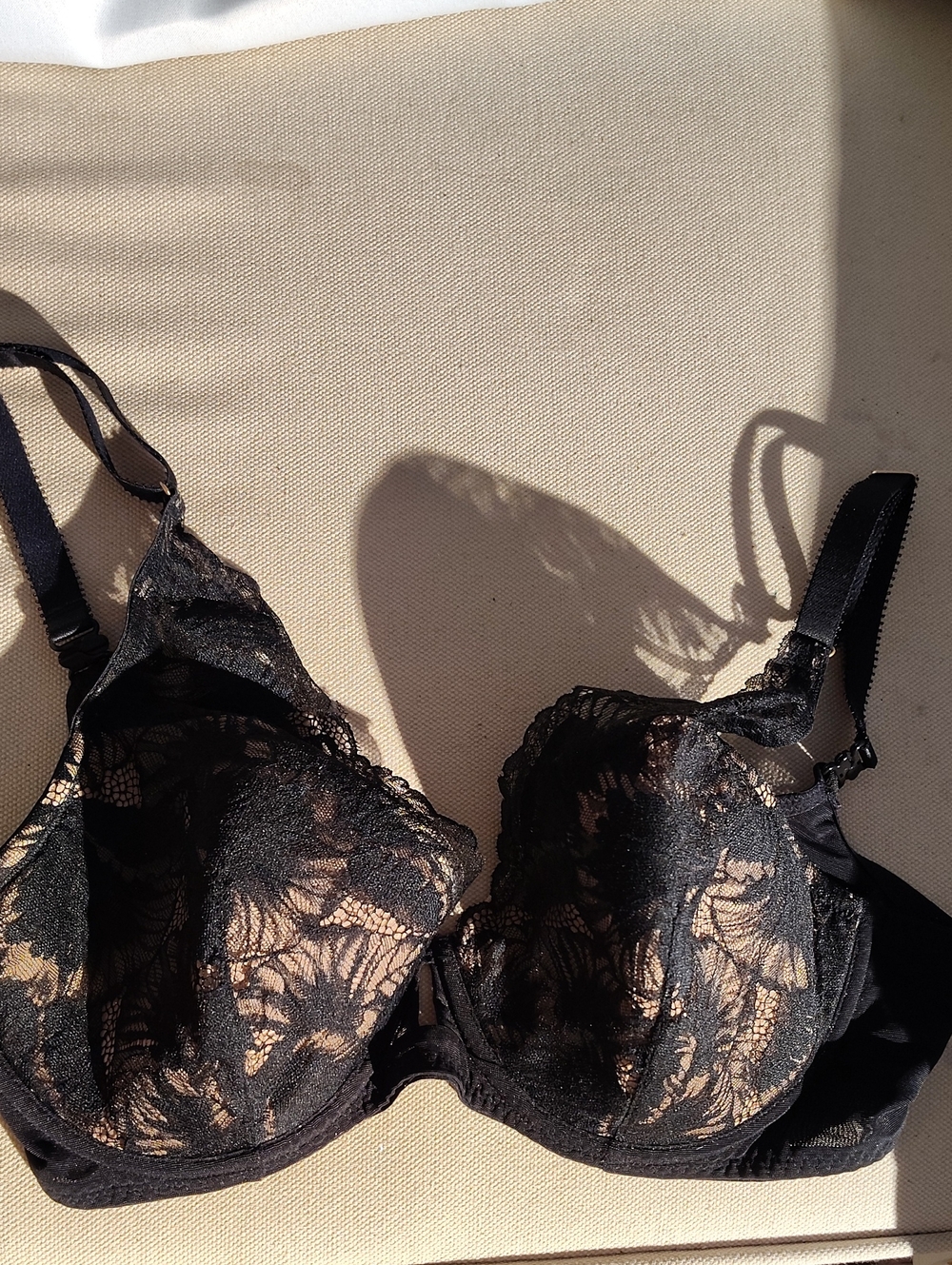 BNWT Padma / Bare Necessities Black Lace Underwire Bra 36DD